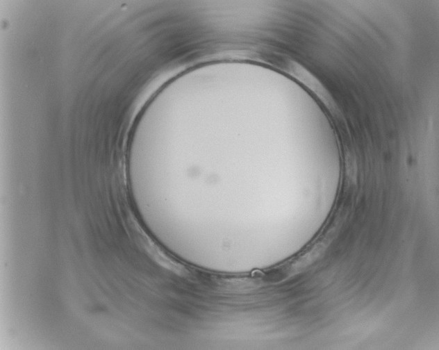 X0000074331436200609152046