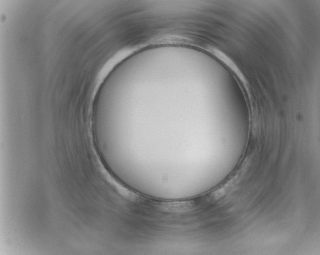 X0000074331437200609152046