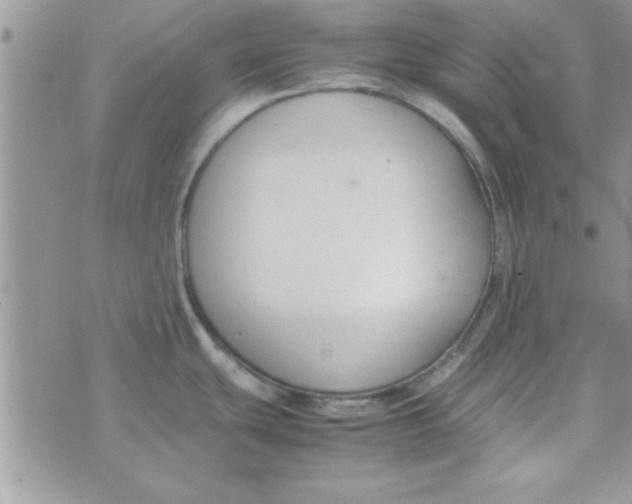 X0000074331439200609152046