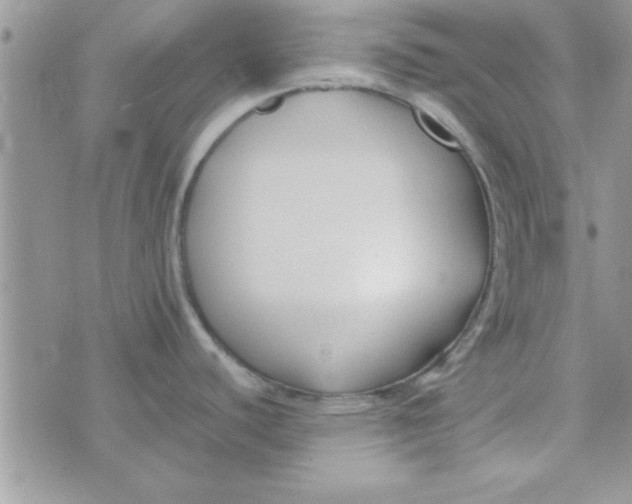 X0000074331440200609152046