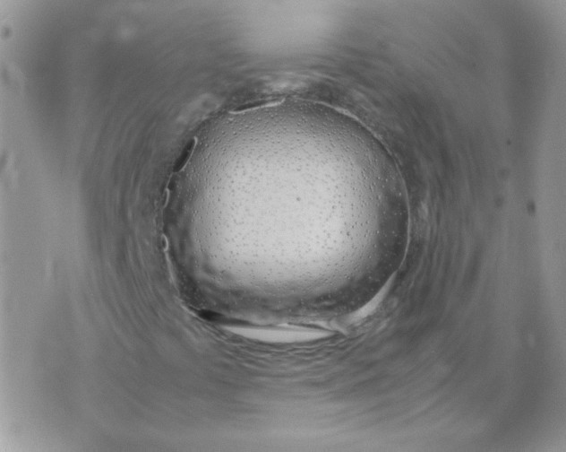 X0000074331441200609152045