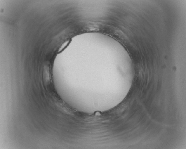 X0000074331442200609152045