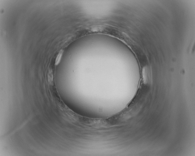 X0000074331443200609152045