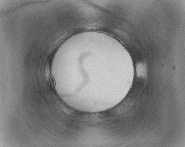 X0000074331444200609152045