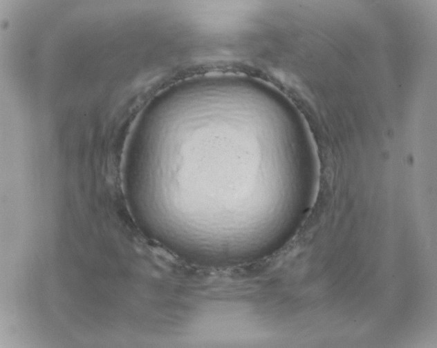 X0000074331445200609152045