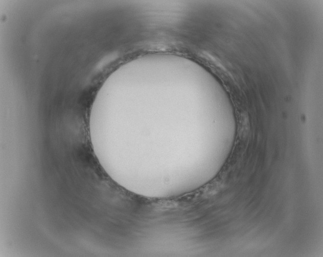 X0000074331446200609152045