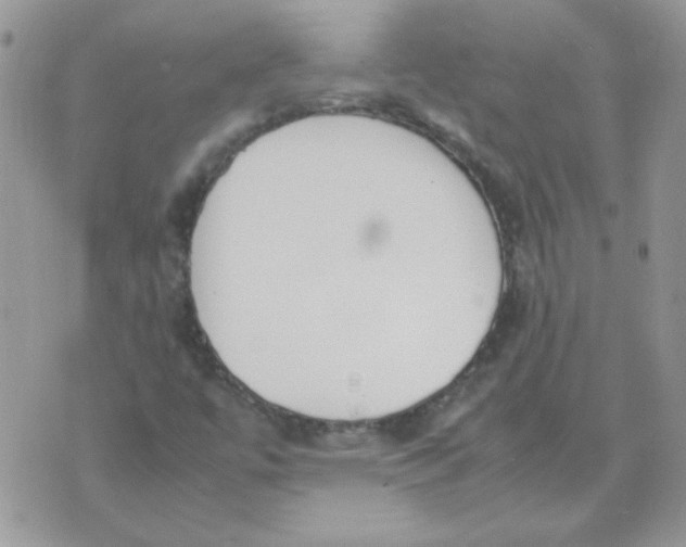 X0000074331447200609152045