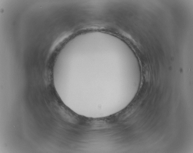 X0000074331448200609152045