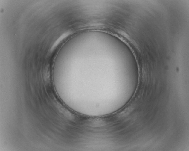 X0000074331450200609152045