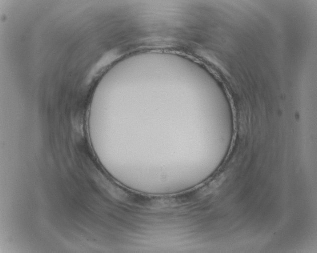 X0000074331451200609152045