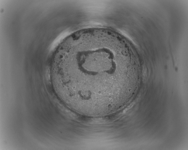 X0000074331455200609152045