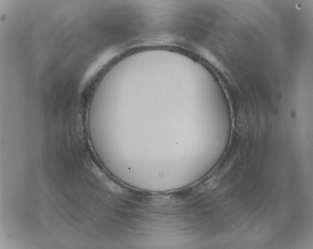 X0000074331456200609152045