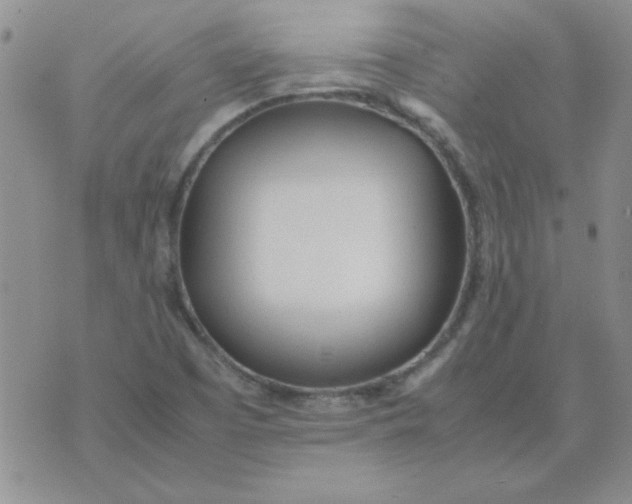 X0000074331457200609152045