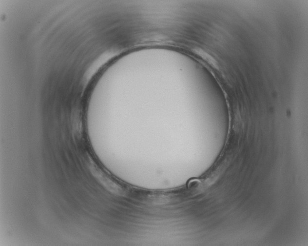 X0000074331458200609152045