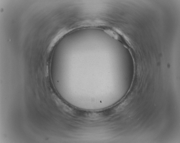 X0000074331459200609152045