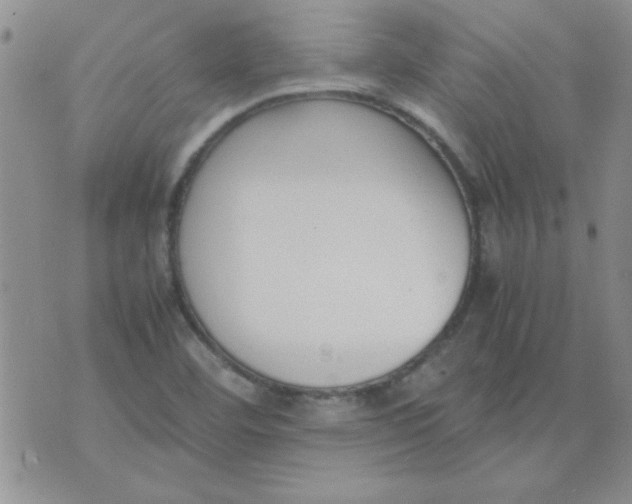 X0000074331460200609152045