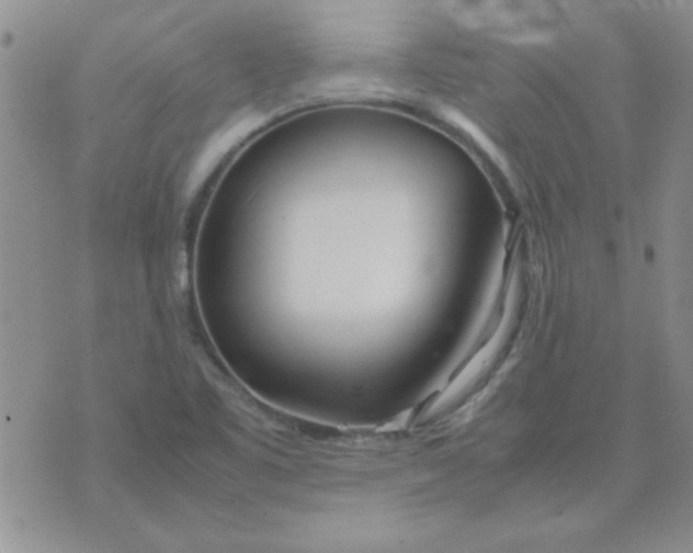 X0000074331461200609152045