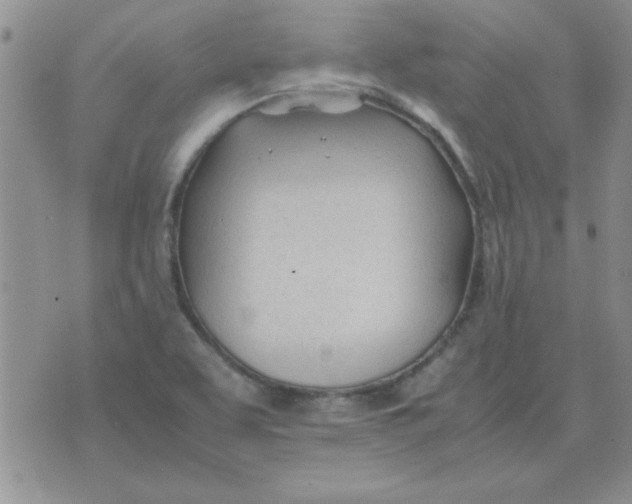 X0000074331463200609152045