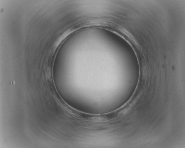 X0000074331465200609152045