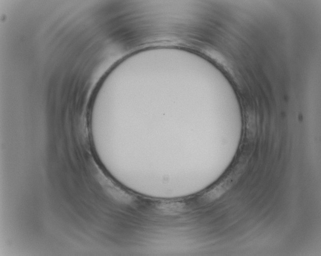 X0000074331466200609152045