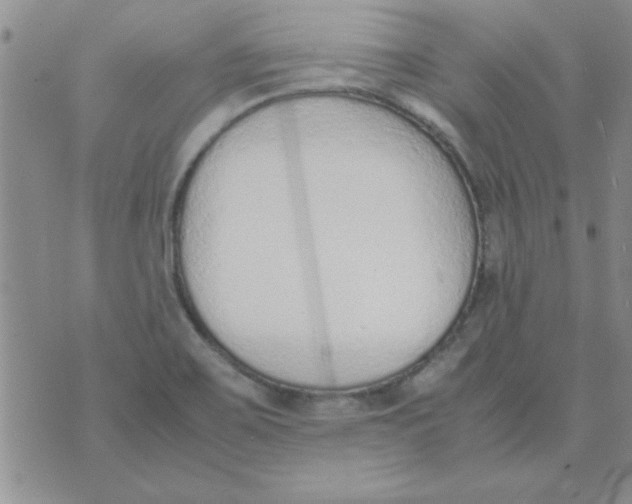 X0000074331467200609152045