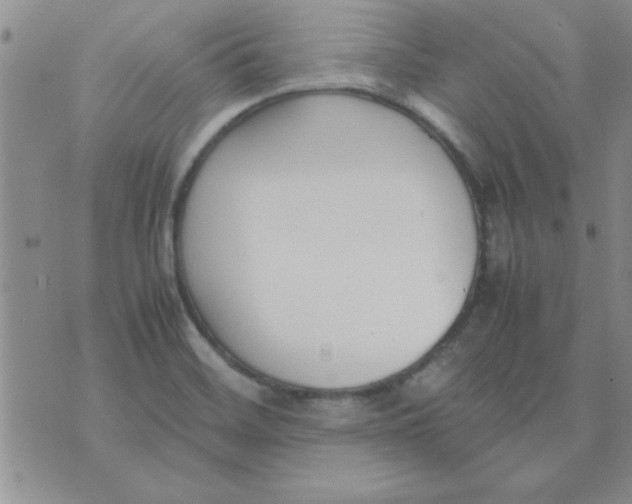 X0000074331468200609152045