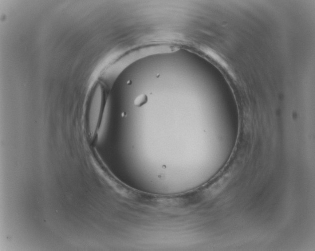 X0000074331469200609152045