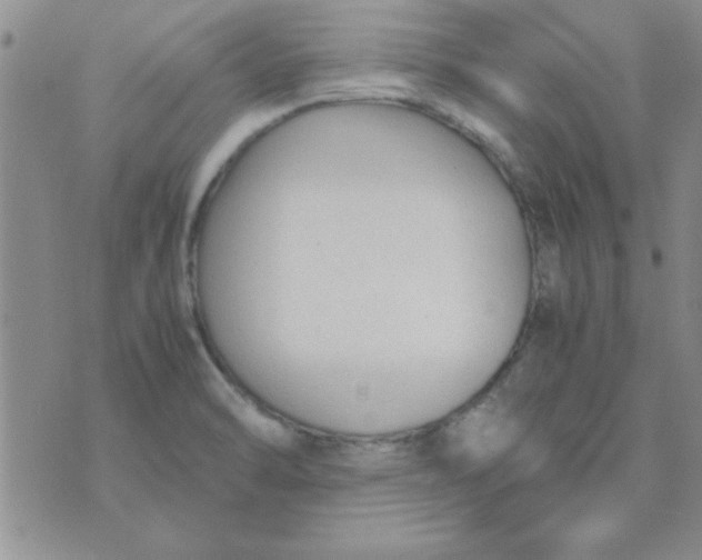 X0000074331470200609152045