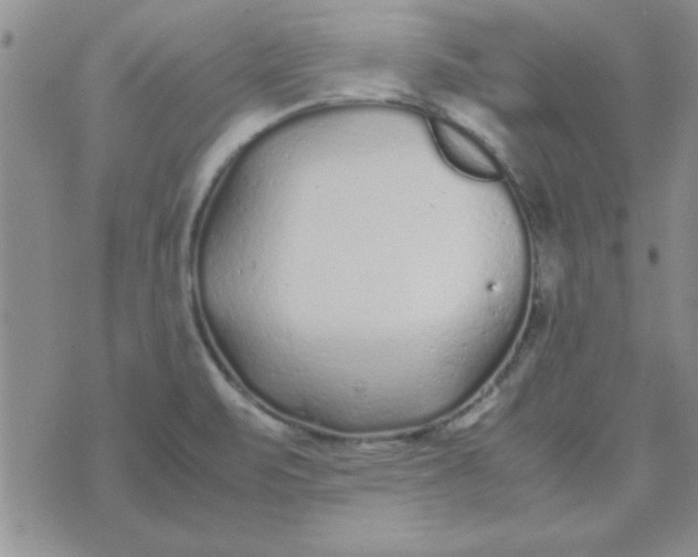 X0000074331471200609152045