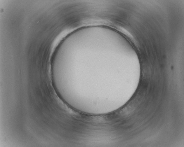 X0000074331472200609152045