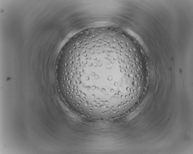 X0000074331473200609152045