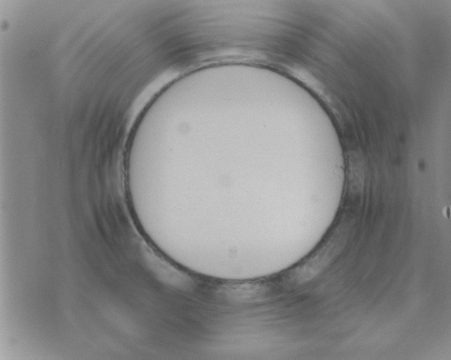 X0000074331474200609152045