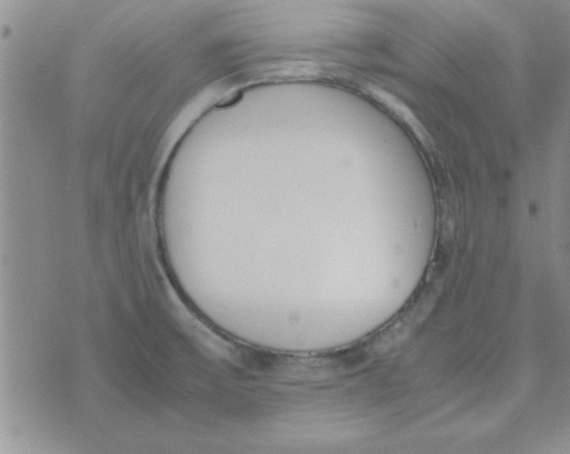 X0000074331475200609152045