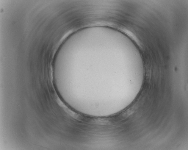 X0000074331476200609152045