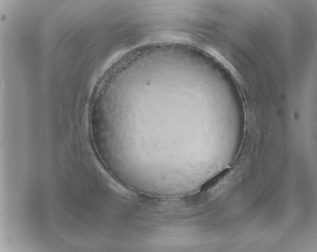 X0000074331477200609152044