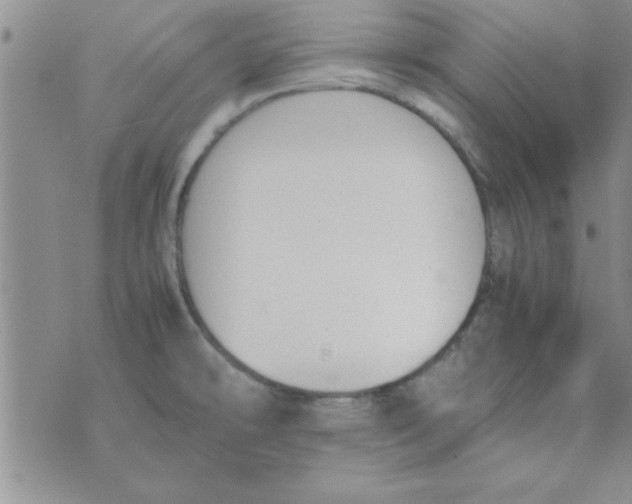 X0000074331478200609152044