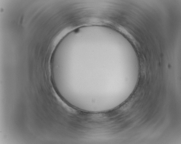 X0000074331479200609152044