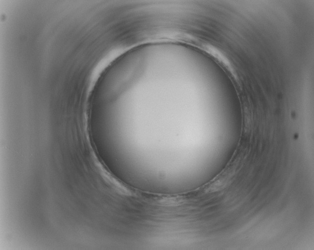 X0000074331480200609152044