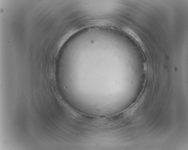 X0000074331481200609152044