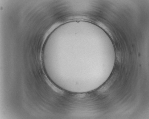 X0000074331482200609152044