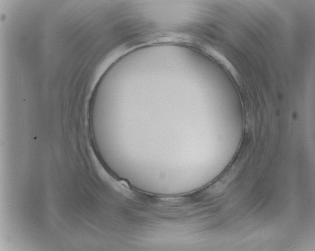 X0000074331483200609152044