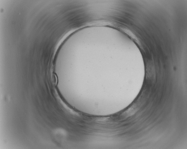 X0000074331484200609152044