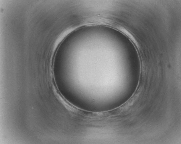 X0000074331485200609152044