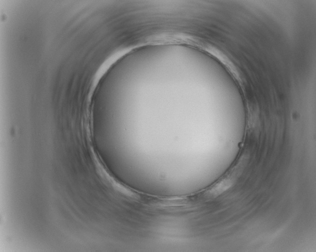 X0000074331486200609152044