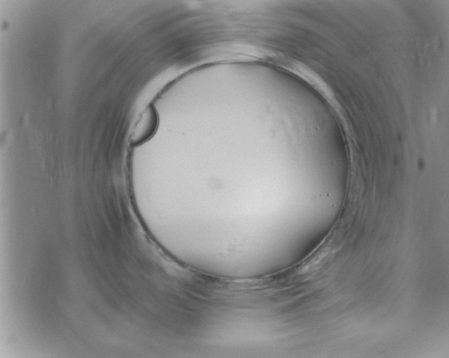 X0000074331488200609152044