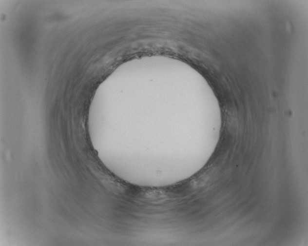 X0000074331489200609152044