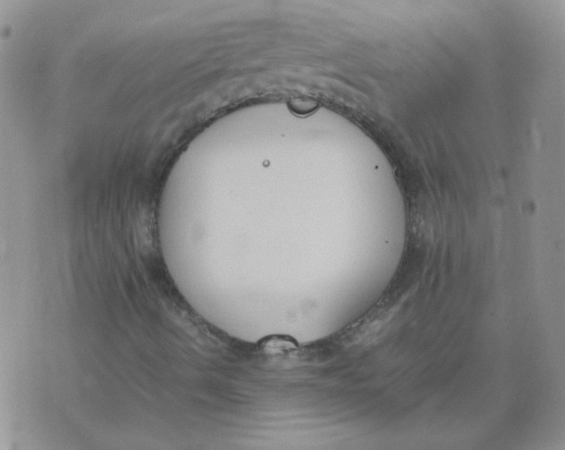 X0000074331490200609152044