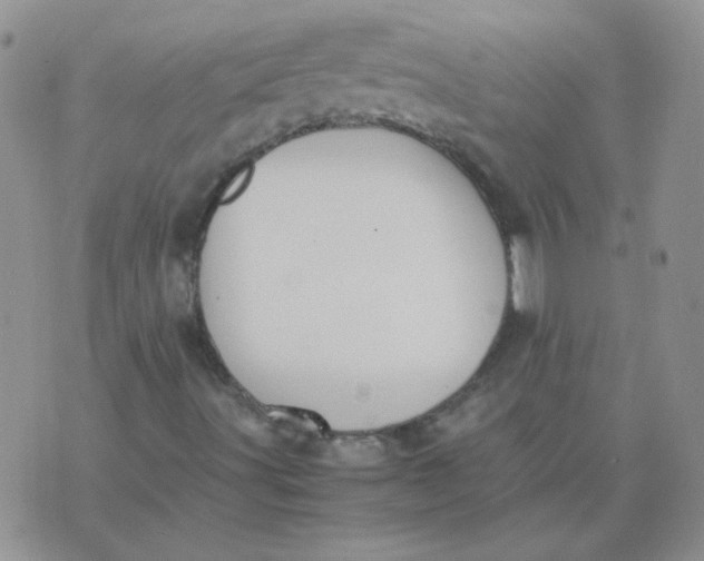 X0000074331491200609152044