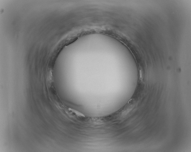 X0000074331492200609152044