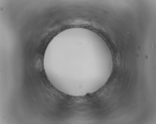 X0000074331493200609152044